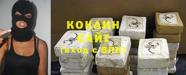 гидра Каменка