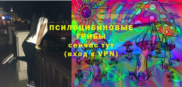 дживик Абинск