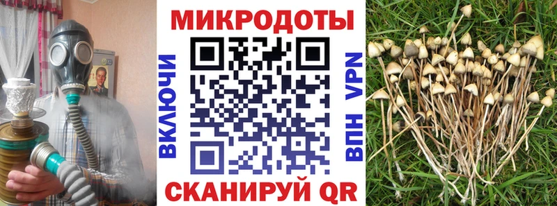 Псилоцибиновые грибы прущие грибы  магазин    Нефтегорск 